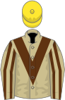 BEIGE, brown chevron, striped sleeves, yellow cap