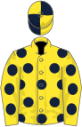 Yellow, dark blue spots, quartered cap