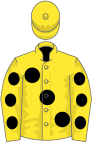 Yellow, large black spots, yellow sleeves, black spots