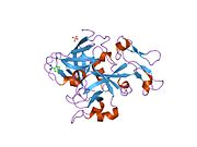 1jbu: Coagulation Factor VII Zymogen (EGF2/Protease) in Complex with Inhibitory Exosite Peptide A-183