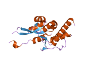 2hwx: Structure of human SMG6 E1282C PIN domain mutant.