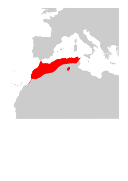 Mapa de distribución coa nova definición restrinxida da especie.