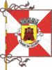 Flag of Guarda