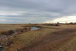 Roughbark Creek in the RM of Lomond