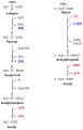 Vorschaubild der Version vom 21:31, 14. Mär. 2010