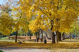 Осінь у парку