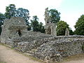 Ruins of Thetford Priory show flints and mortar through the whole depth of the wall
