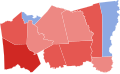 2006 TX-08 election