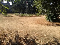 A park in central Southampton on 25 July