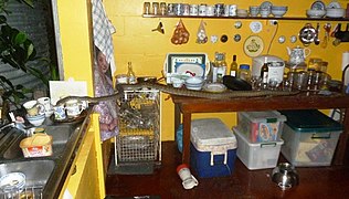 Australian scrub python visiting a kitchen at a home near Cooktown, Queensland, Australia, 2014