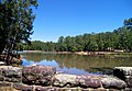 Bastrop State Park Lake is surrounded by the "Lost Pines of Texas" and is prime breeding ground for the Houston toad.