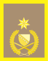 Armed Forces of Bosnia and Herzegovina: brigadni general