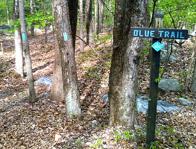 An example of several different trail markers in use: wooden sign, blue diamond sign, light blue paint blazes. The Housatonic Range Trail (AKA Candlewood Mountain Trail) crossing on Squash Hollow Road in New Milford, CT.