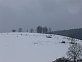 Paysage enneigé à Charix.