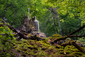 32. Platz: Bernie-endless-forms Neu! mit Gütersteiner Wasserfall in Bad Urach, NSG Rutschen