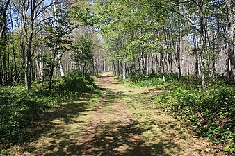 Hiking trail