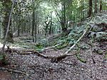 Kenwalch's Castle: a large univallate hillfort on Pen Hill