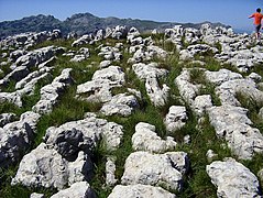 Lapiaz de l'Alto de Brenas, Cantabrie, Espagne.