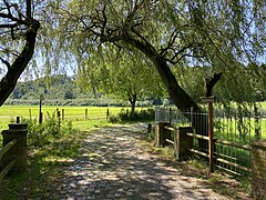 Wanderweg am Park