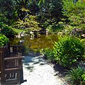 Seating Bench and Pond