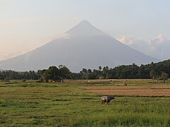 Mount Mayon view from Bicol Airport Road sunset carabao