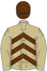 Beige and brown chevrons, beige sleeves, brown cap