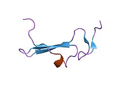 Figure 1. NMR Structure of Human Betacellulin-2