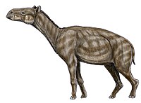 Palaeotherium