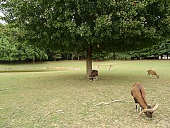 Parc des Gayeulles