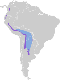 Distribución geográfica del doradito oliváceo.