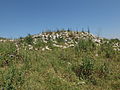 Razed structure at Bayt Nattif