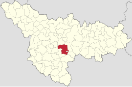 Location in Timiș County