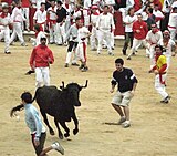 サン・フェルミン祭の初日