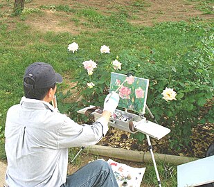 A common scene at the Rose Garden, when the roses are in bloom