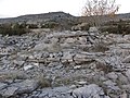 Dolmen de Saint-Martin-du-Larzac 3