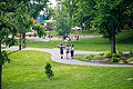 Wentworth Park Playground