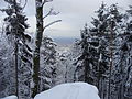 View from the Schornsteinfelsen rocks