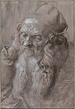 Head of an 93-Year-Old Man, 1521, brush, ink, heightened w/ gouache, on gray-violet prepared paper, 41.5 × 28.2 cm, Albertina (3167). Study for the St. Jerome