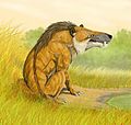 Andrewsarchus