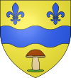 Blason