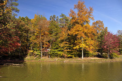 Lake shore view with orange, red, yellow, and green-leaved trees.