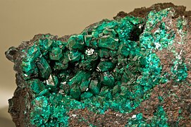 Dioptase - Renéville, République du Congo (13 × 12 cm)