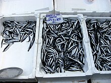 small silver fish in open polystyrene boxes labelled "Karadeniz hamsi kilo 7 lira"