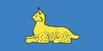 Flag of Gomel