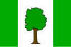 Flag of Jilemnice
