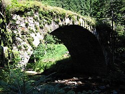 Le pont des fées à Gérardmer