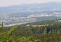 Greifensee