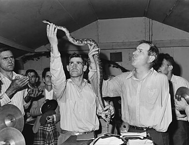 Snake handling in Christianity, by Russell Lee (restored by Adam Cuerden)