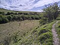 Kiplingcotes Quarry Nature Reserve in April