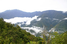 Selva húmeda Los Yungas, La Paz